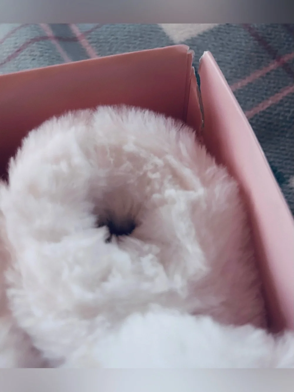 Doudou et Compagnie Newborn Lamb Booties NEW